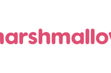 Marshmallow Insurance review