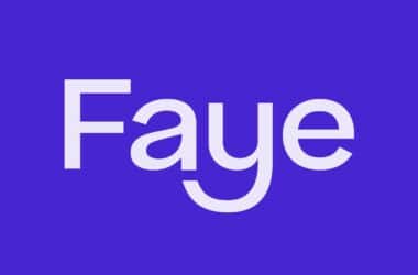 Faye Insurance