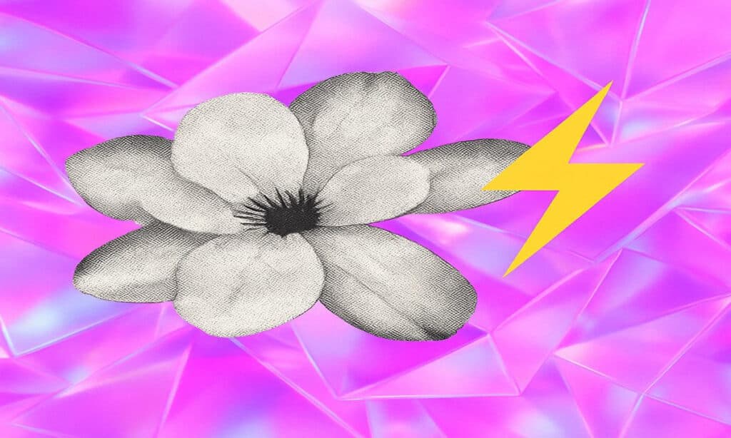 image 1744865997GGVHBRxDP7 1