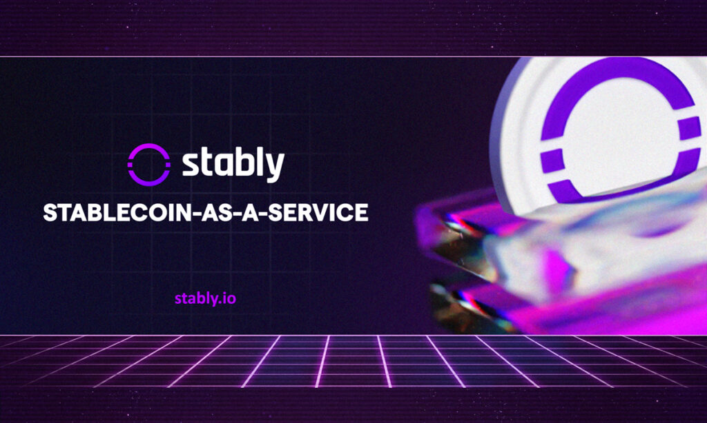 Stably Introduces Stablecoin Development & Advisory Services for Institutions & Enterprises 1 Stably SCaaS 1750717239jFNHNzpQyn 1