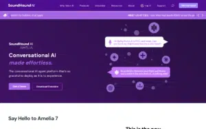 IPsoft Amelia Paid 1